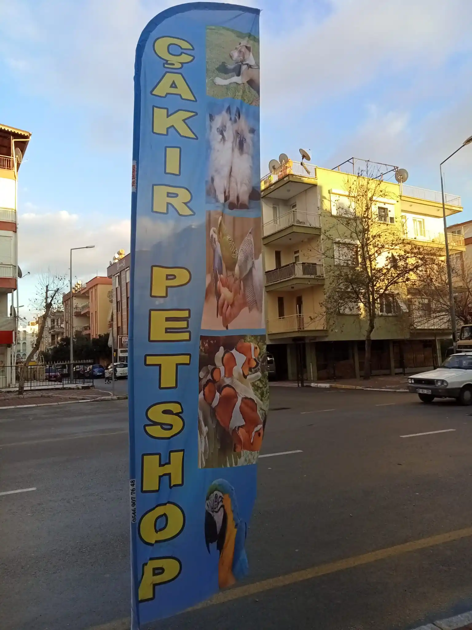 Petshop Yelken Bayrağı-25